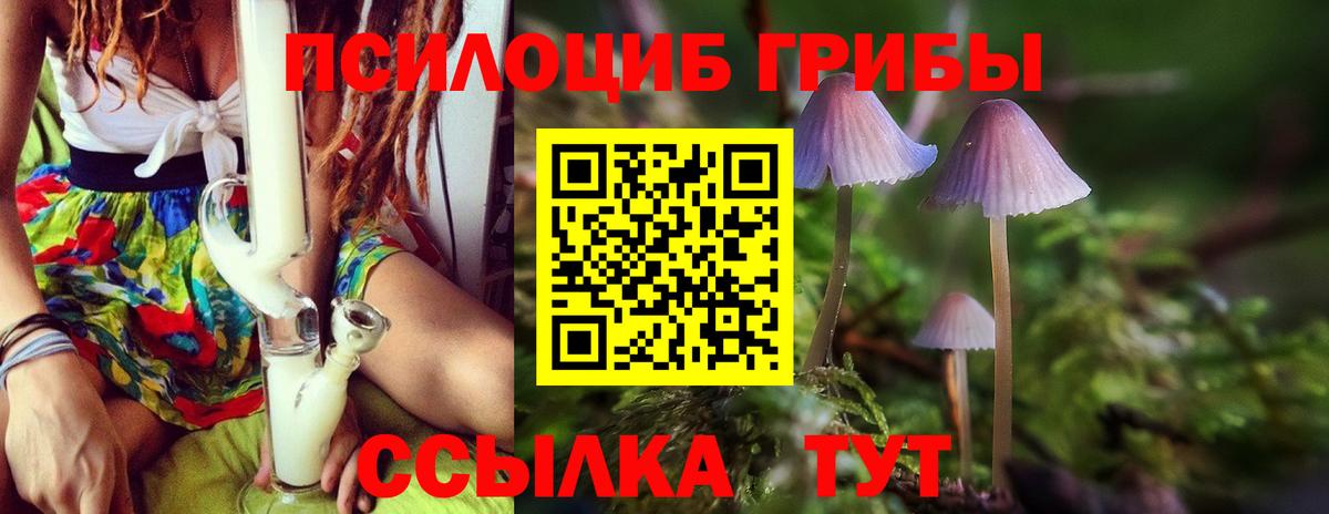 Коряжма  Псилоцибиновые грибы прущие грибы  Вход с VPN 